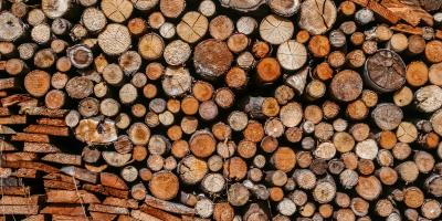 Zrównoważy rozwój dla biomasy stałej. Wymagania łańcucha dostaw
