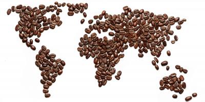 Certyfikacja fair trade produkty, etyka biznesu