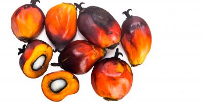 RSPO zrównoważony olej palmowy